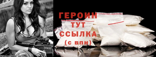 хмурый Ельня