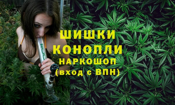круглые Аркадак