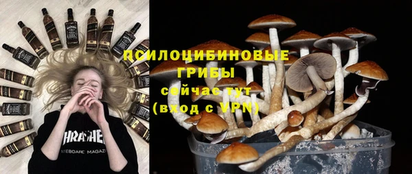 круглые Аркадак