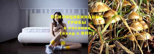 круглые Аркадак