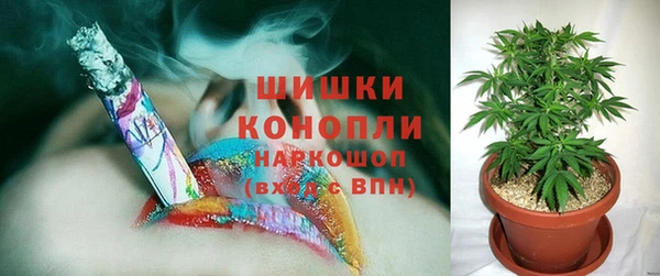 круглые Аркадак