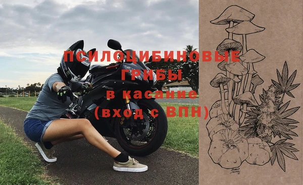 круглые Аркадак