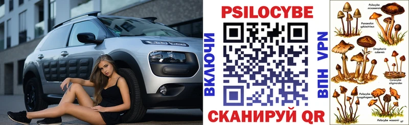 Псилоцибиновые грибы Psilocybe  где найти наркотики  Баймак 