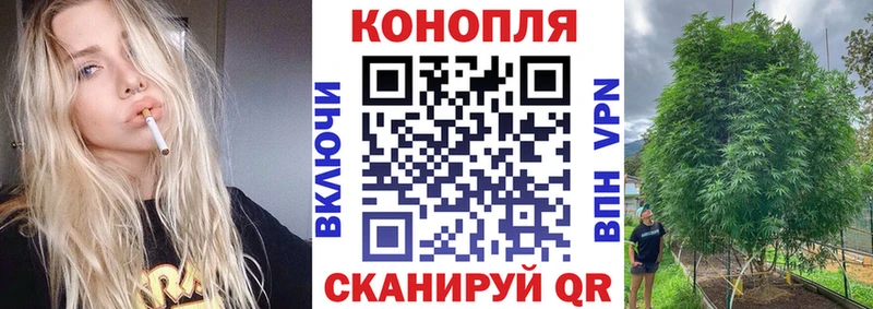 Бошки марихуана AK-47  закладка  кракен как войти  Баймак 
